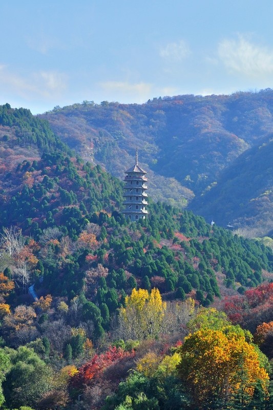 【视觉光影】 济 南 红 叶 谷（1）
