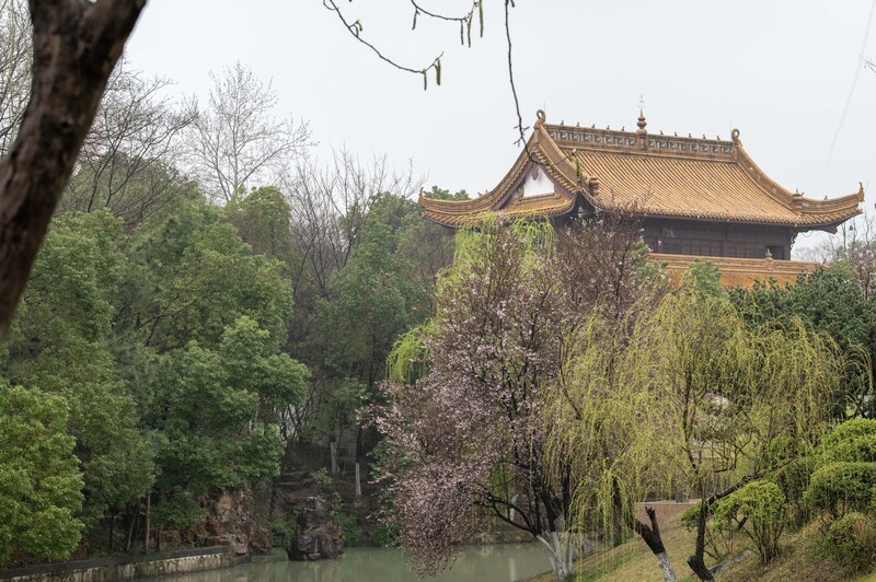 庐州印象（624）