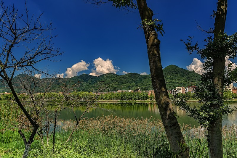 云南鲁甸 · 太阳湖湿地公园（2）