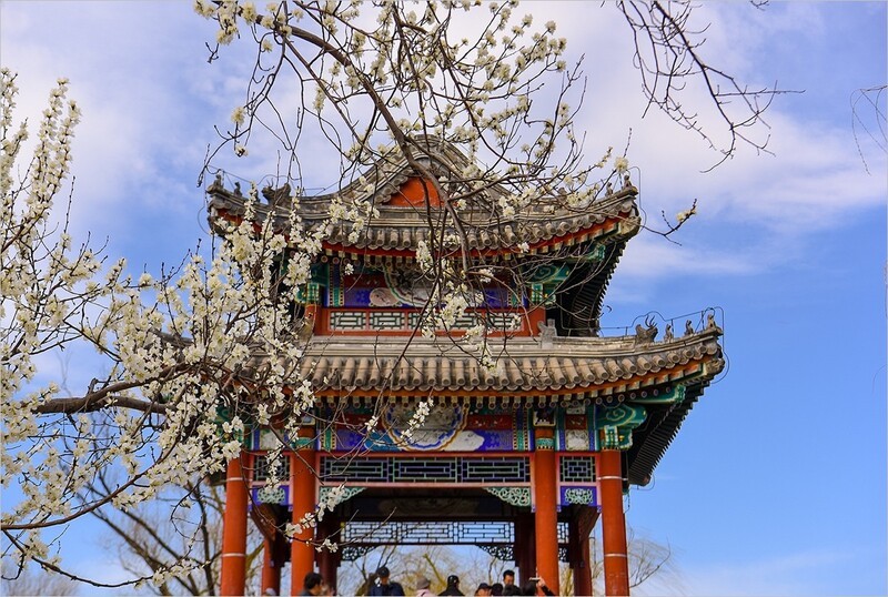 2026年第0204贴 - 颐和园西堤风光（0318）