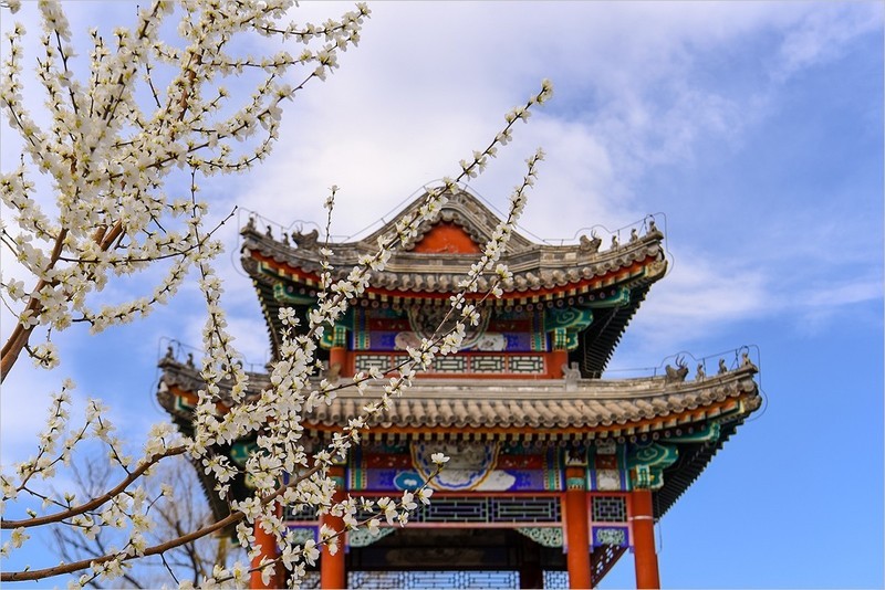 2026年第0203贴 - 颐和园西堤风光（0318）