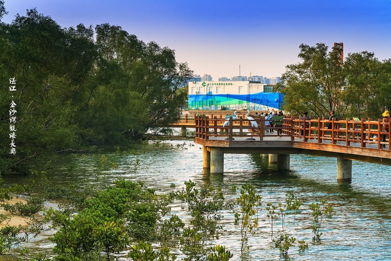 湛江 · 金沙湾红树林科普基地