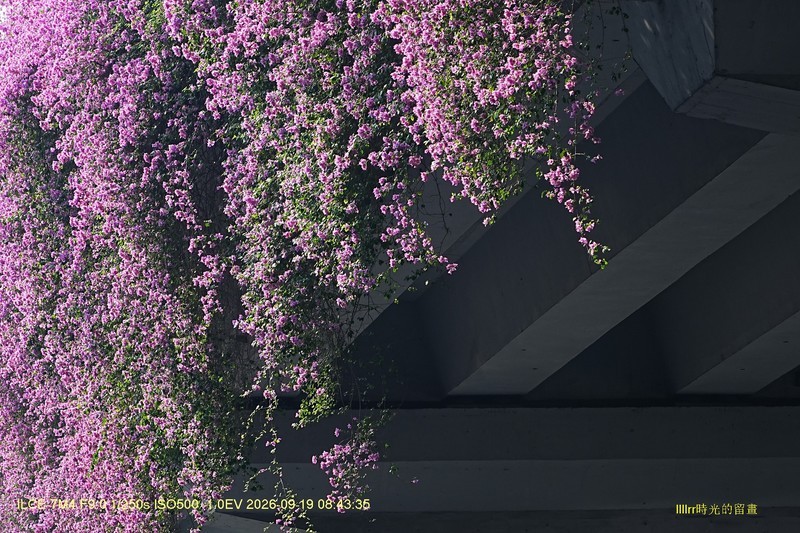 花城廣州之 高架橋（一）