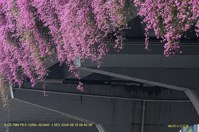 花城廣州之 高架橋（一）