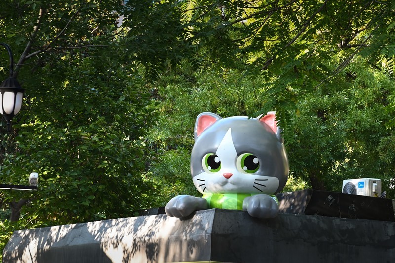 初秋的中山公园