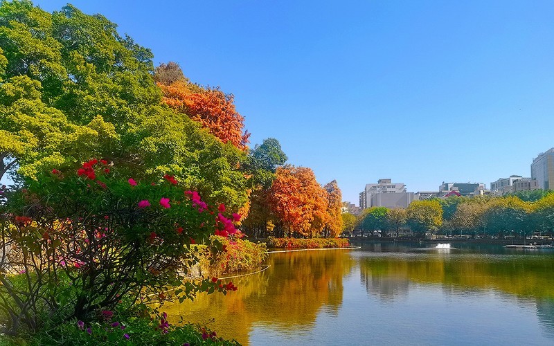 [26087] 流花湖公园