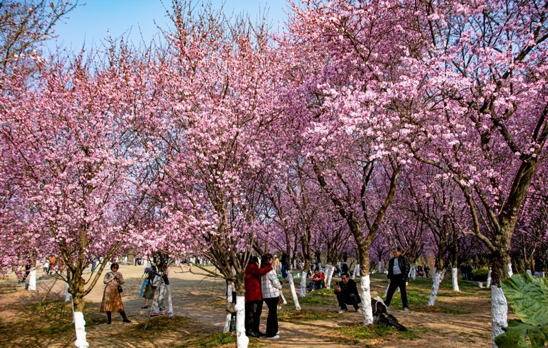 2026,初五游成都植物园2。