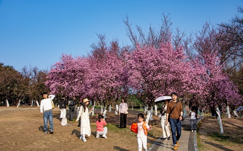 2026,初五游成都植物园2。