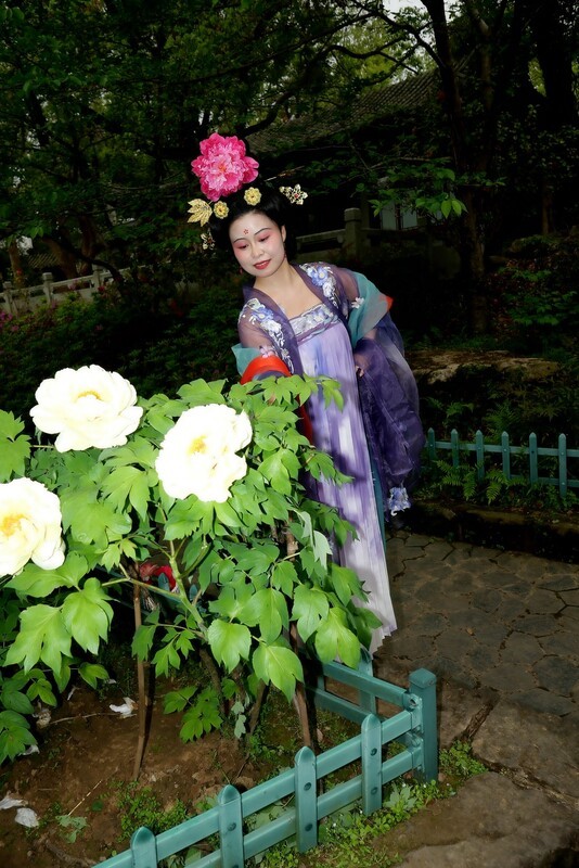 环境人像---牡丹园！