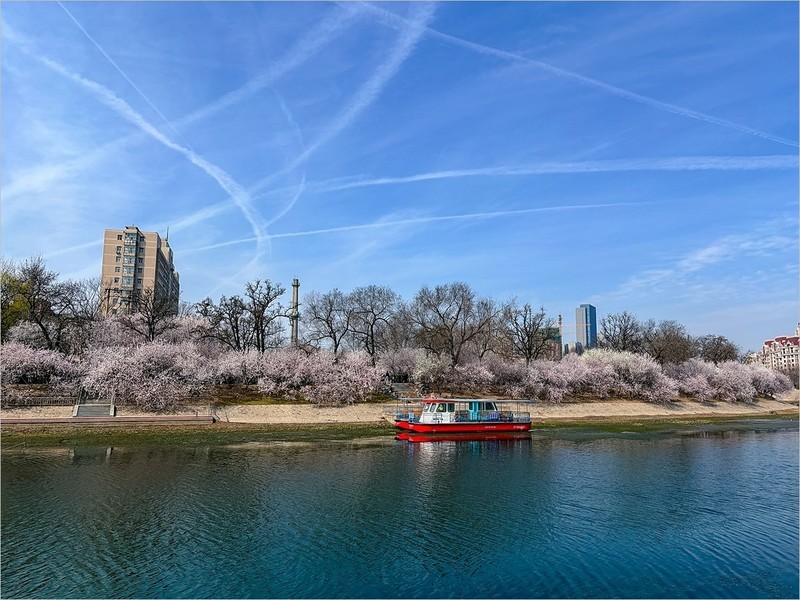 2026年-天津之行纪实旅拍-0211