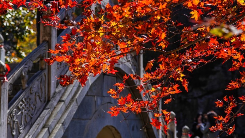 岫 岩 龙 潭 湾 秋 色 （ 三 ）