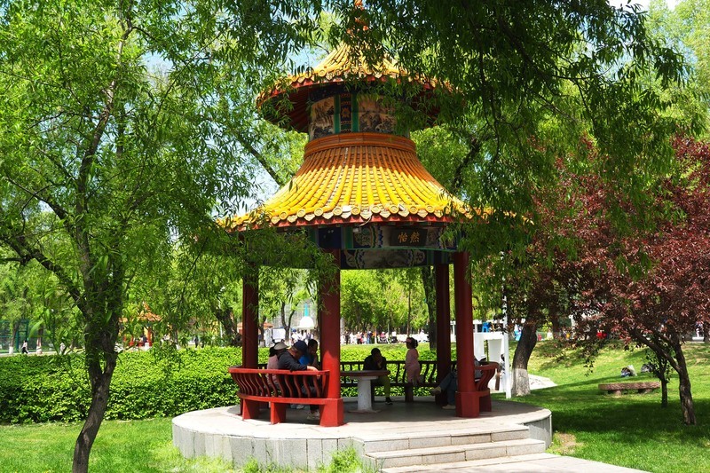 初夏——人民公园风景（6）