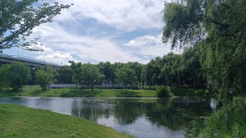 江东湿地公园