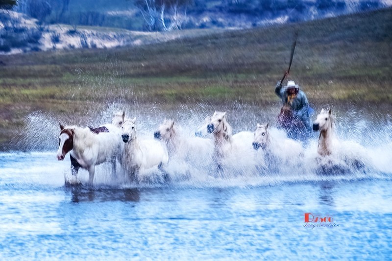 慢门 飞马踏水（13）