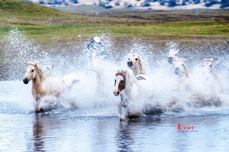 慢门 飞马踏水（13）