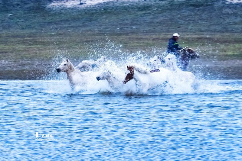 慢门 飞马踏水（13）
