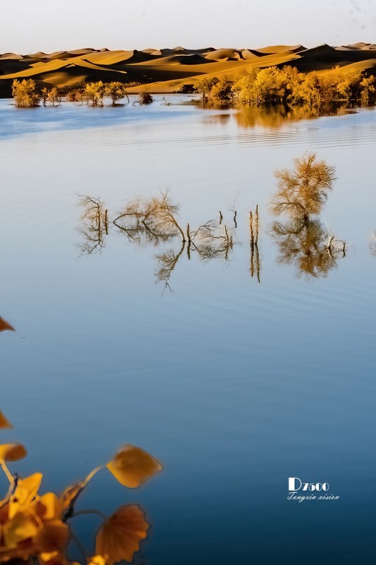 南疆行——尉犁葫芦岛的风景（11）