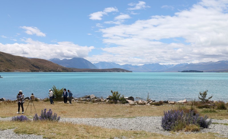 蒂卡普湖随拍（二）