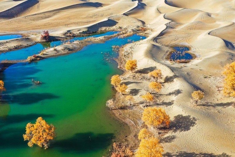 外出随拍（713）.