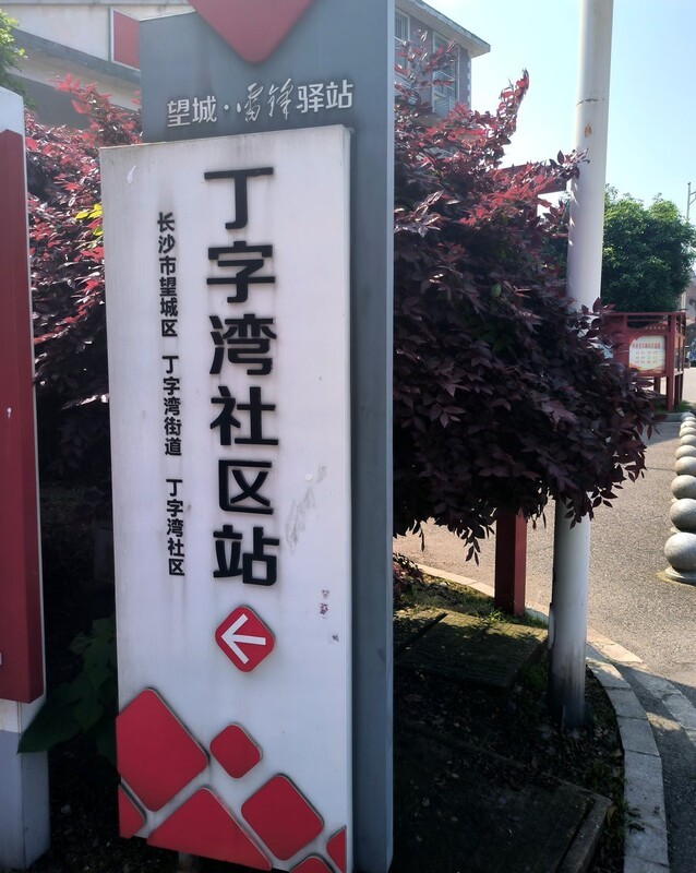 漫步星城 （1042）丁字新街