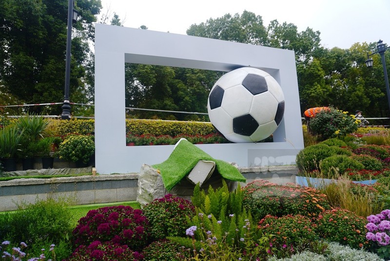 武汉市第42 届金秋菊展3