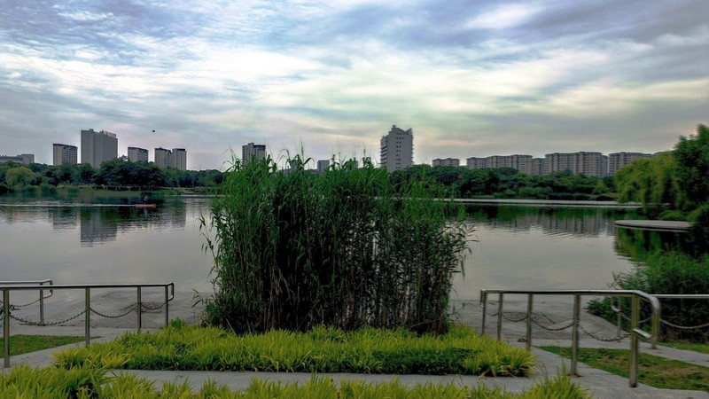 阴天的汀棠公园
