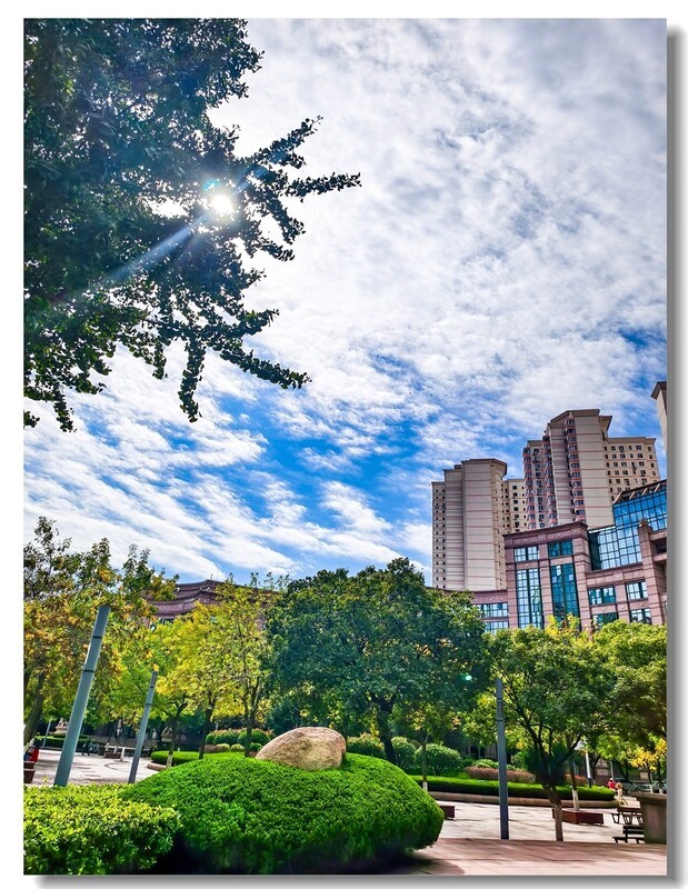 2025国庆手机随拍（二十一）