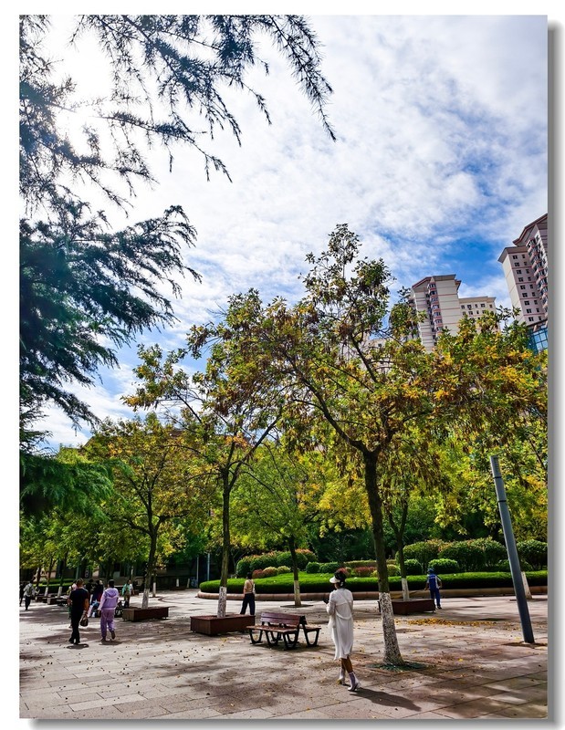 2025国庆手机随拍（二十一）