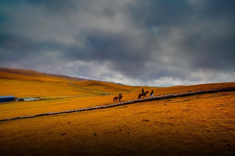 新疆喀拉峻草原 4