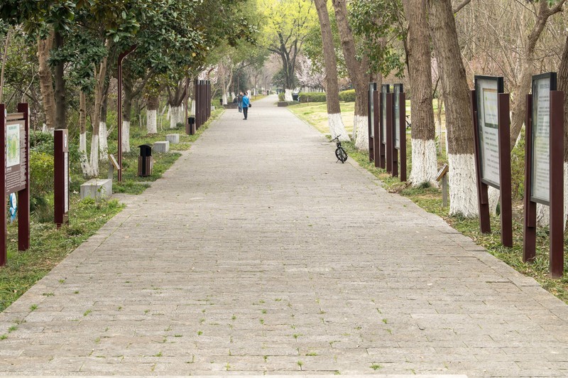 庐州印象（632）幸福平安