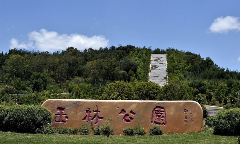 2026小城的夏（贰）