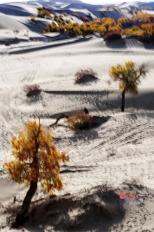 南疆行——尉犁葫芦岛的风景（21）