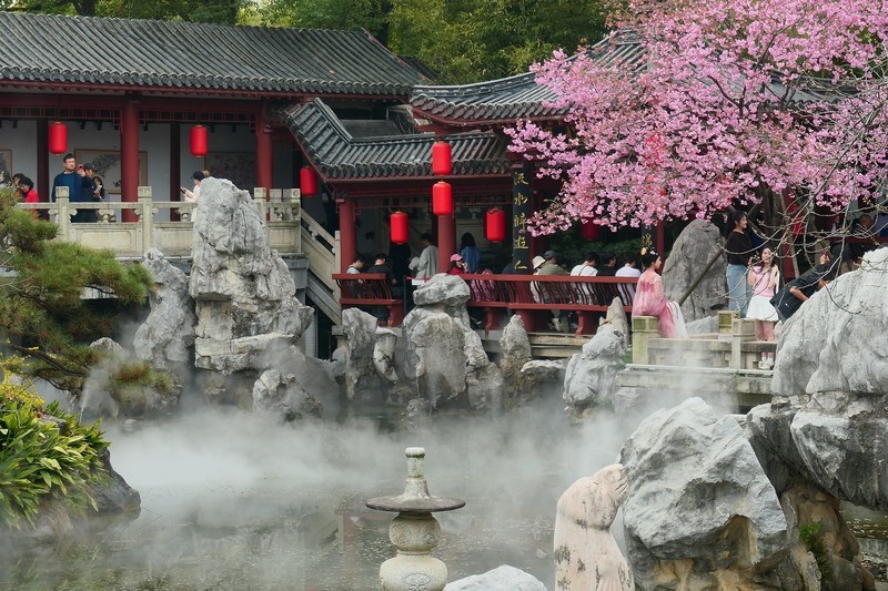 东湖樱花园（三）