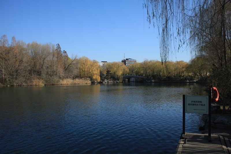 冬日——明湖随拍