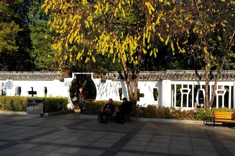 人民公园随拍（完）