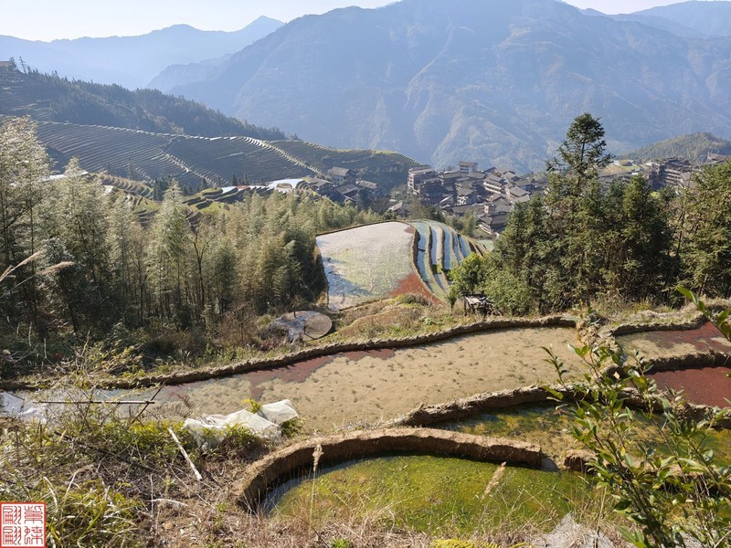 2025.3.19桂林龙脊平安梯田（29）
