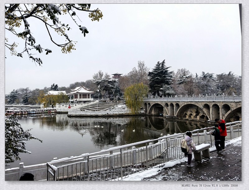 雪 【乙巳年-311】