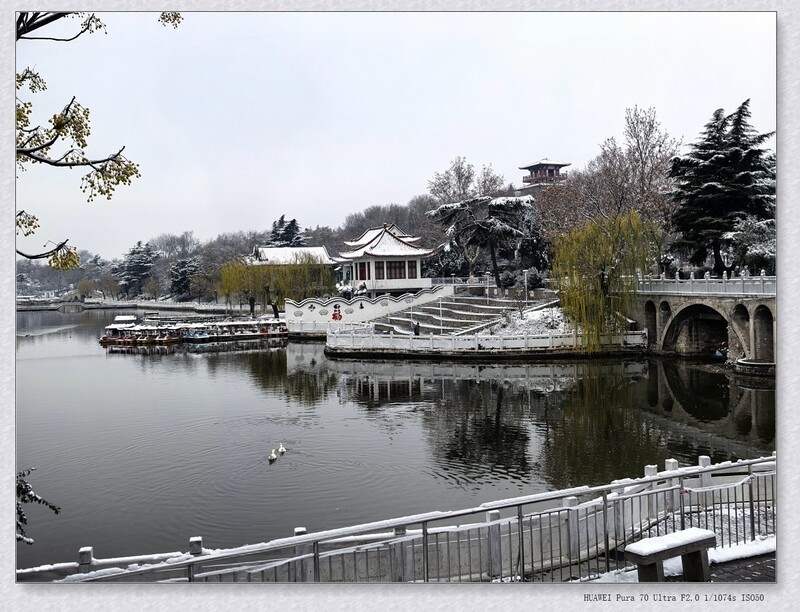 雪 【乙巳年-311】