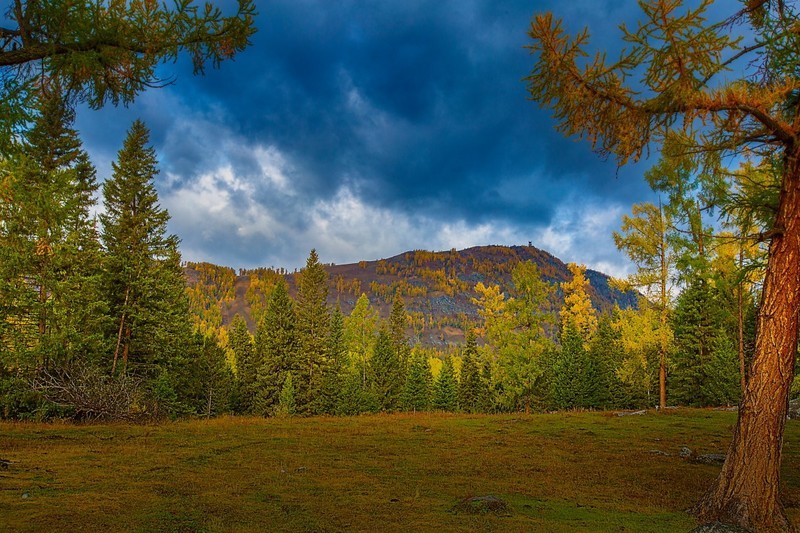 新疆喀纳斯风景20