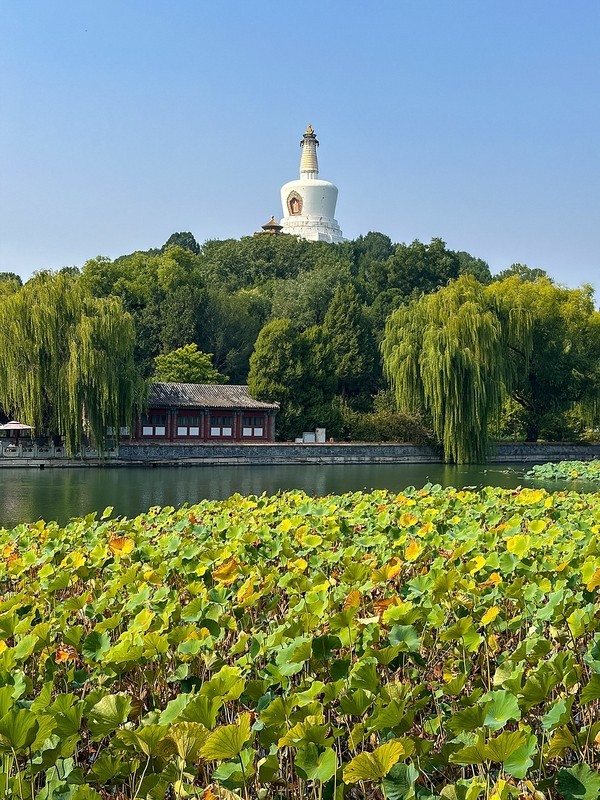 2026年- 北海景山公园纪实拍-0643