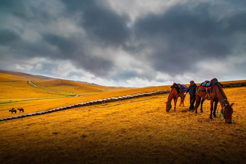 新疆喀拉峻草原 11