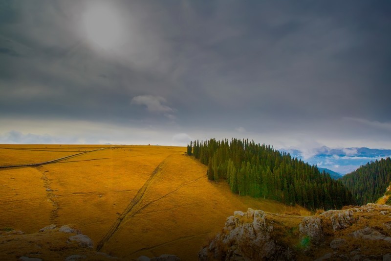 新疆喀拉峻草原 11