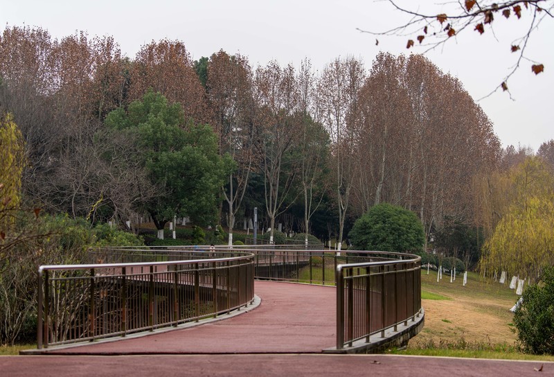 庐州印象（547）清水冲