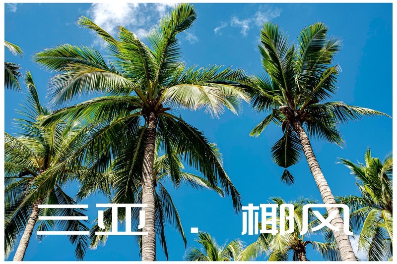 三亚 . 椰风