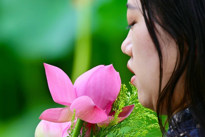 【人像摄影】荷花人像