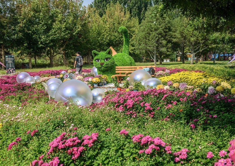秋日的北京鲜花港
