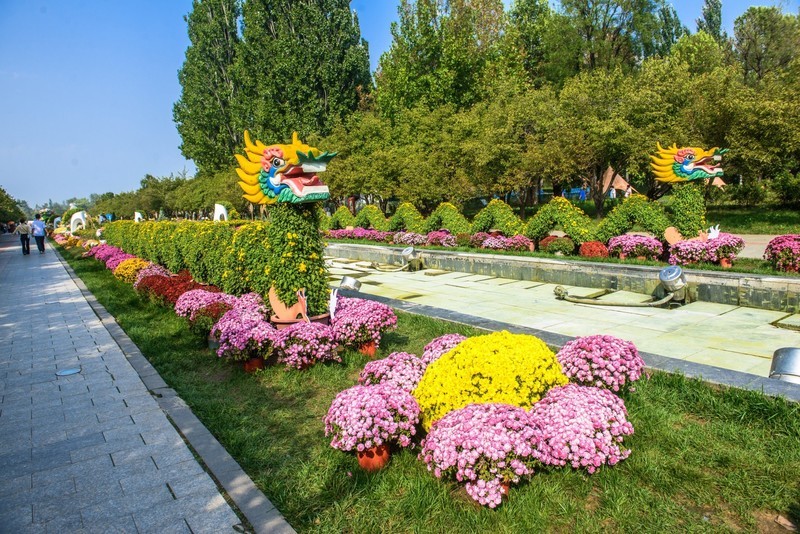 秋日的北京鲜花港