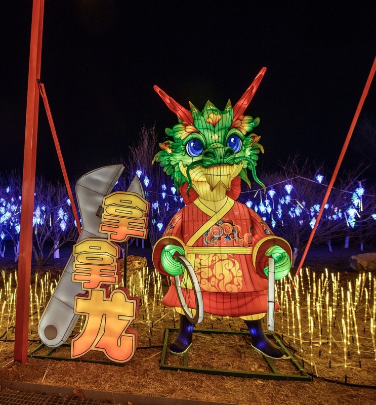 2026天津国际灯会掠影（下）