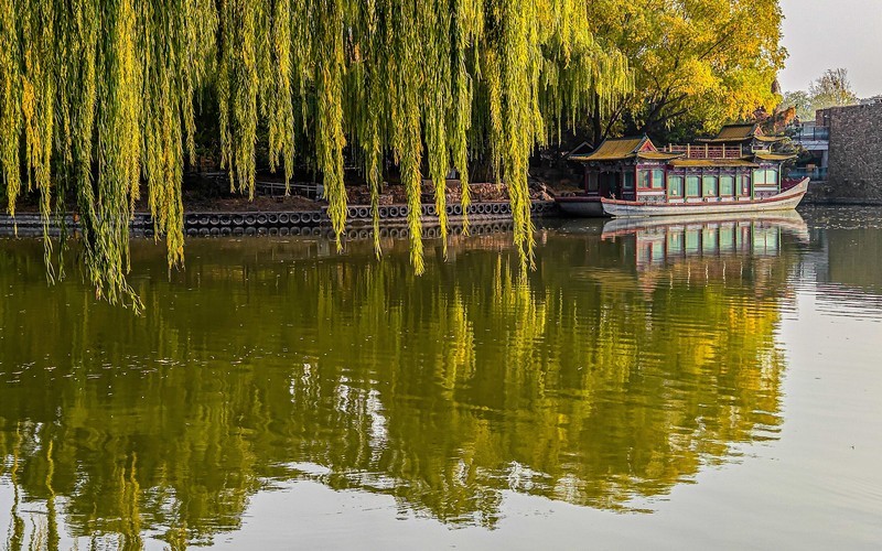 手机游拍20241112《73》