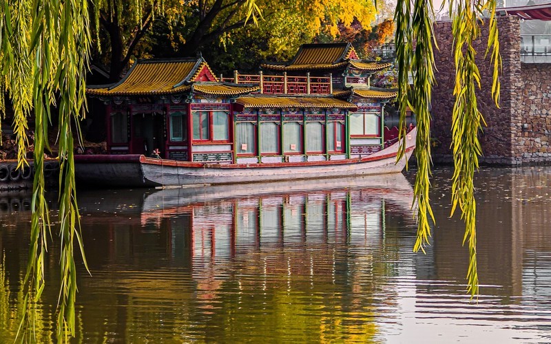 手机游拍20241112《73》